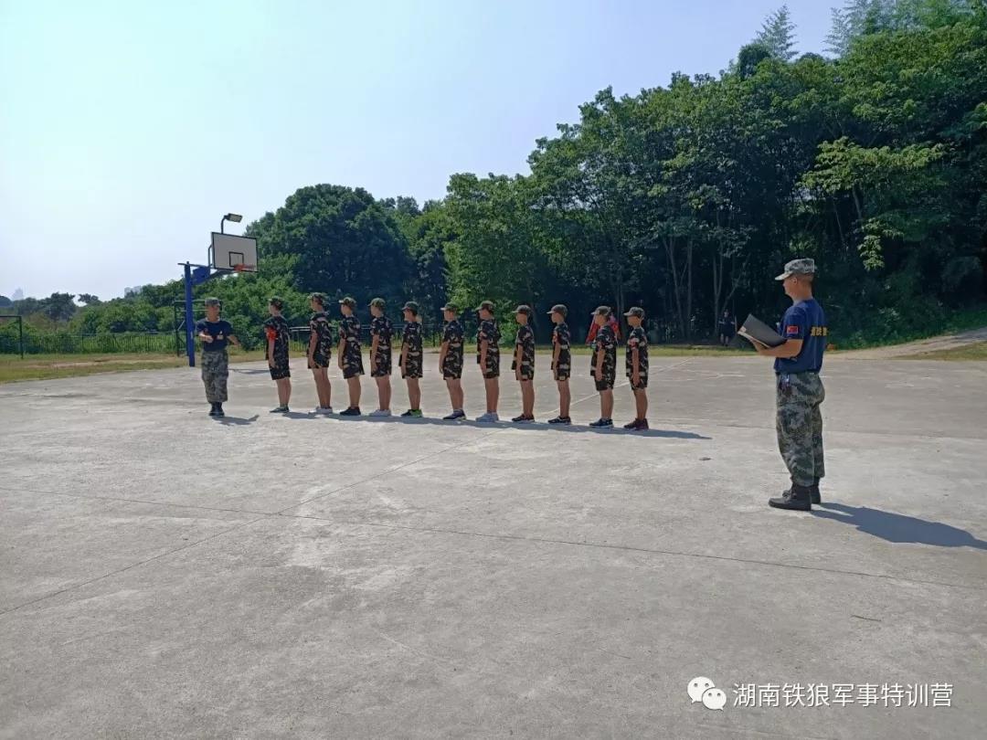 学期训练班 学期训练班