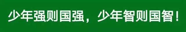 习惯养成教育