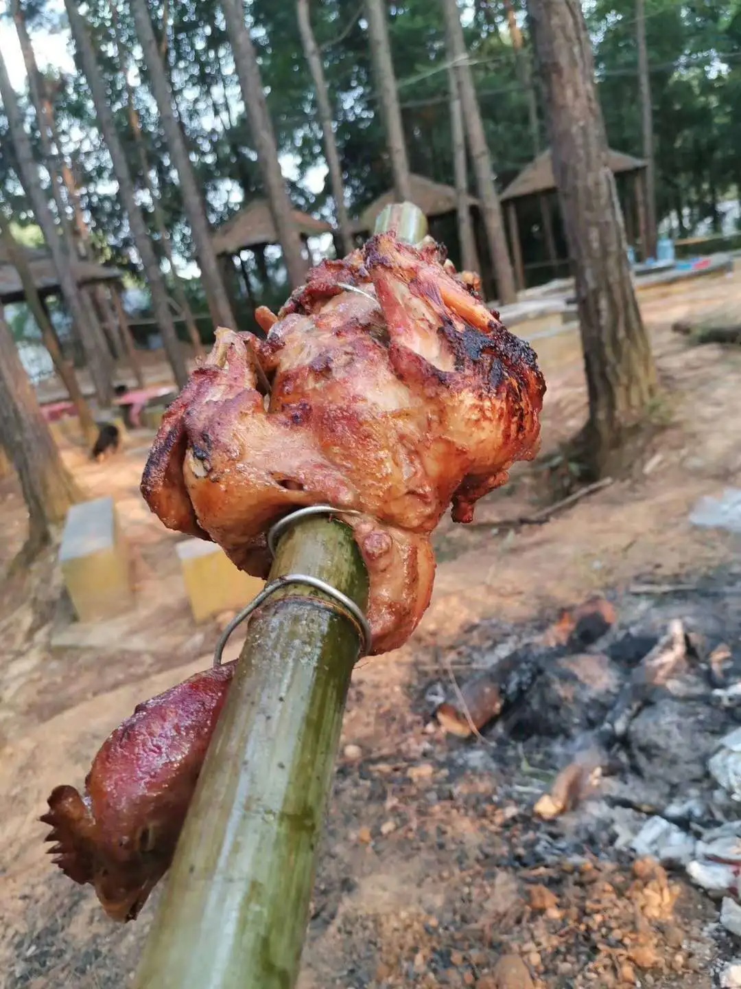 夏令营野炊